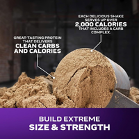 MuscleTech Mass Tech Extreme 2000 Vanilla Milkshake 20lbs