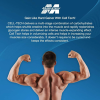 MuscleTech Cell Tech Tropical Citrus Punch 2.9lbs