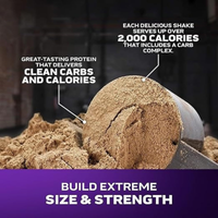 MuscleTech Mass Tech Extreme 2000 Vanilla Milkshake 12lbs