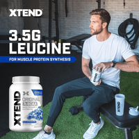 Xtend Blue Raspberry Ice Powder 90 Servings
