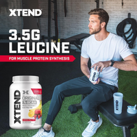 Xtend Knockout Fruit Punch Powder 90 Servings
