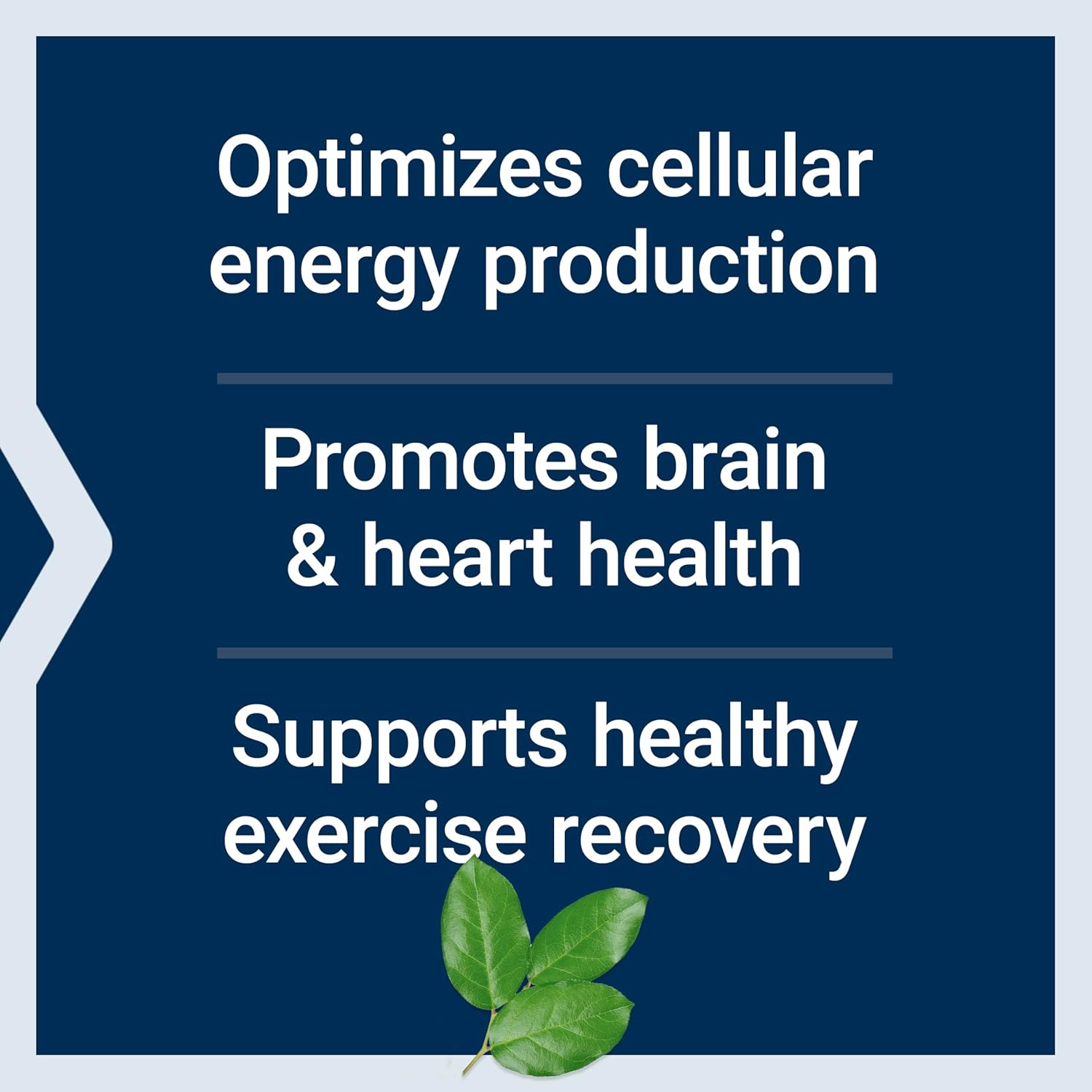 Life Extension-Optimized Carnitine, 60 capsules
