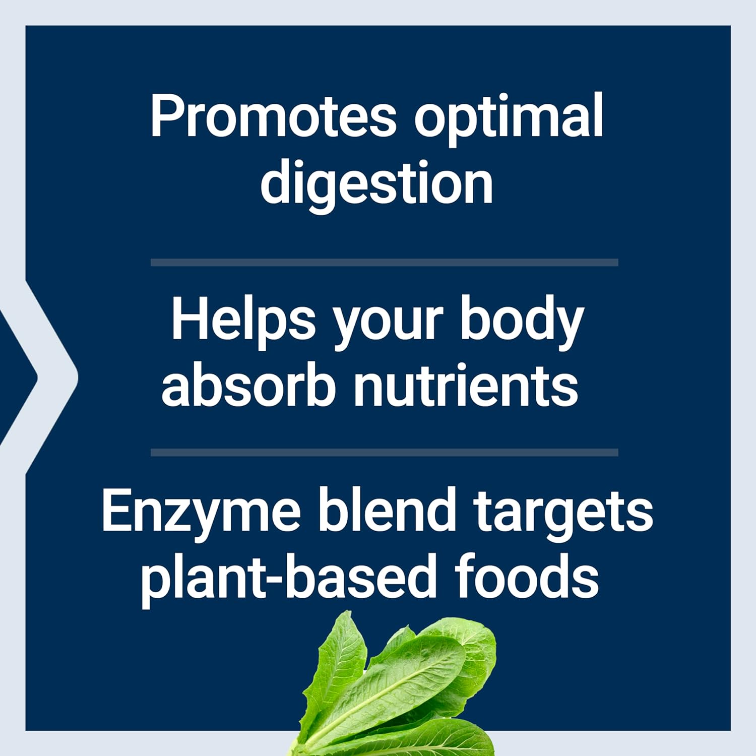 Life Extension-Enhanced Super Digestive Enzymes, 60 veg caps