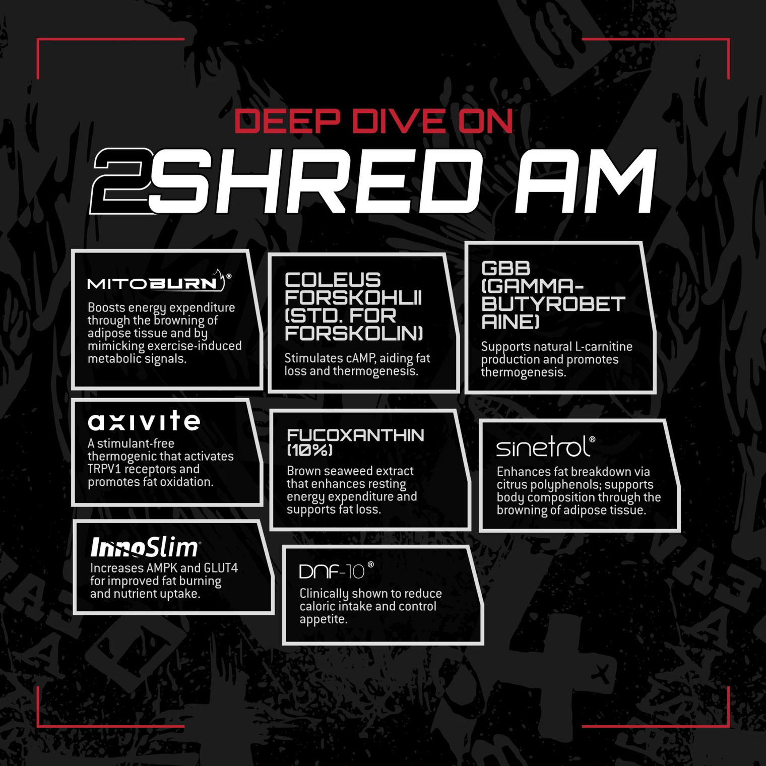 Unmatched 2SHRED boxes (180 capsules)